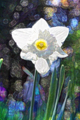 Daffodil Hill Sparkle Art 3